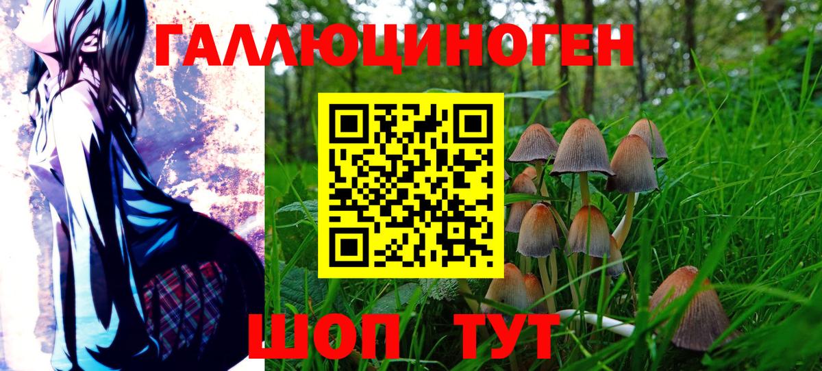 Alpha PVP Киров