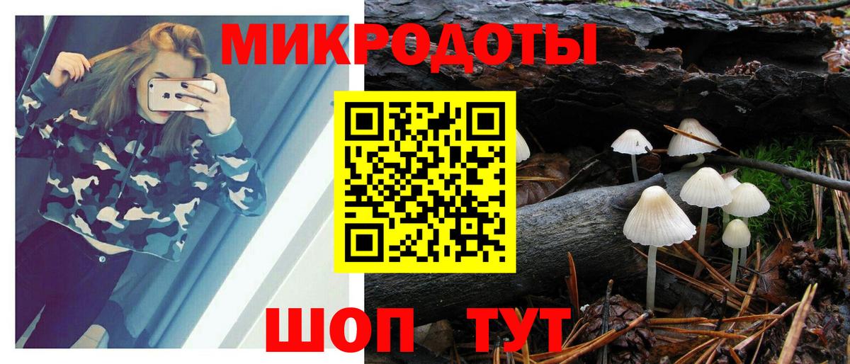 Киров  Псилоцибиновые грибы Psilocybine cubensis  Вход с VPN  купить   Псилоцибиновые грибы MAGIC MUSHROOMS 